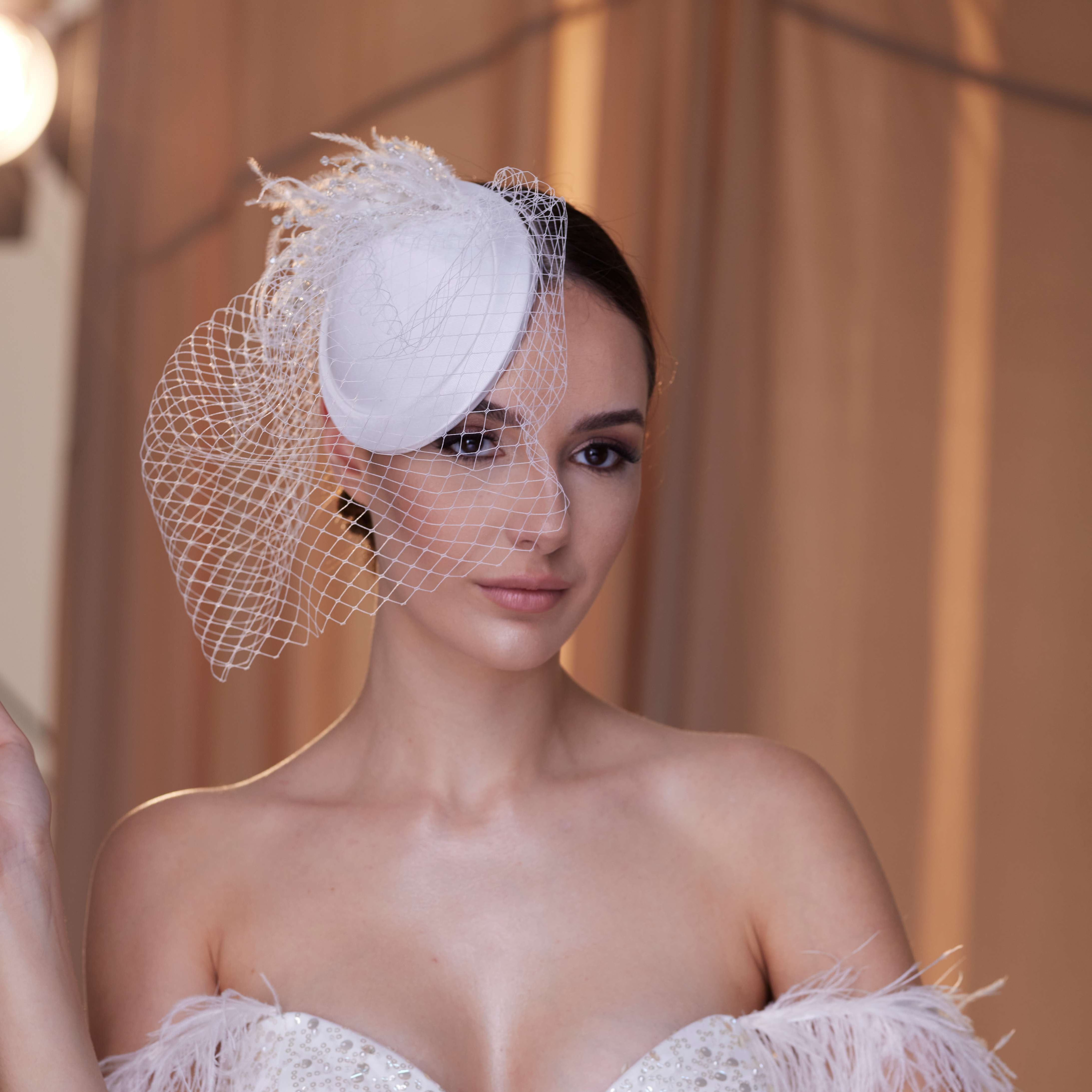 Birdcage Veil with Feathers