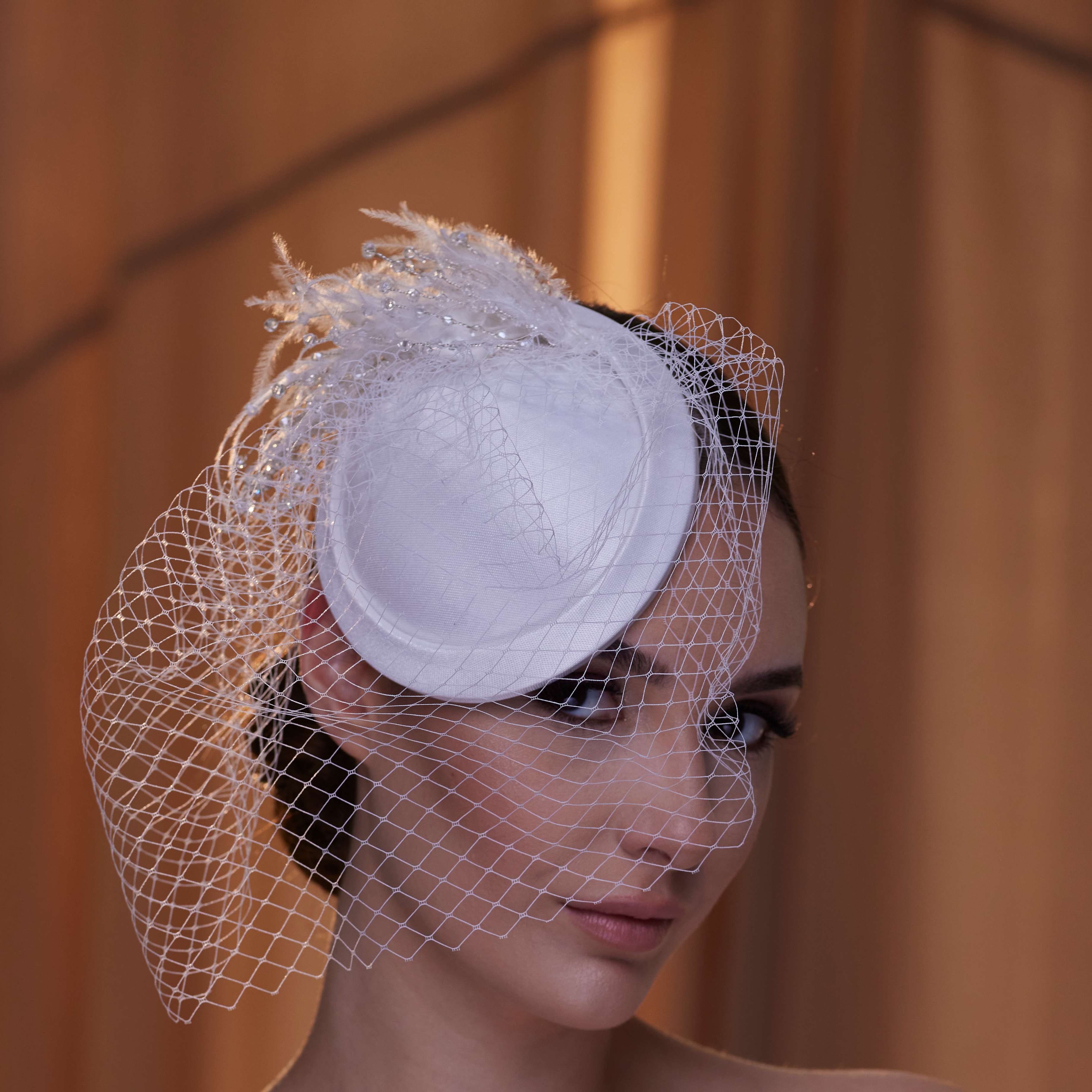 Birdcage Veil with Feathers