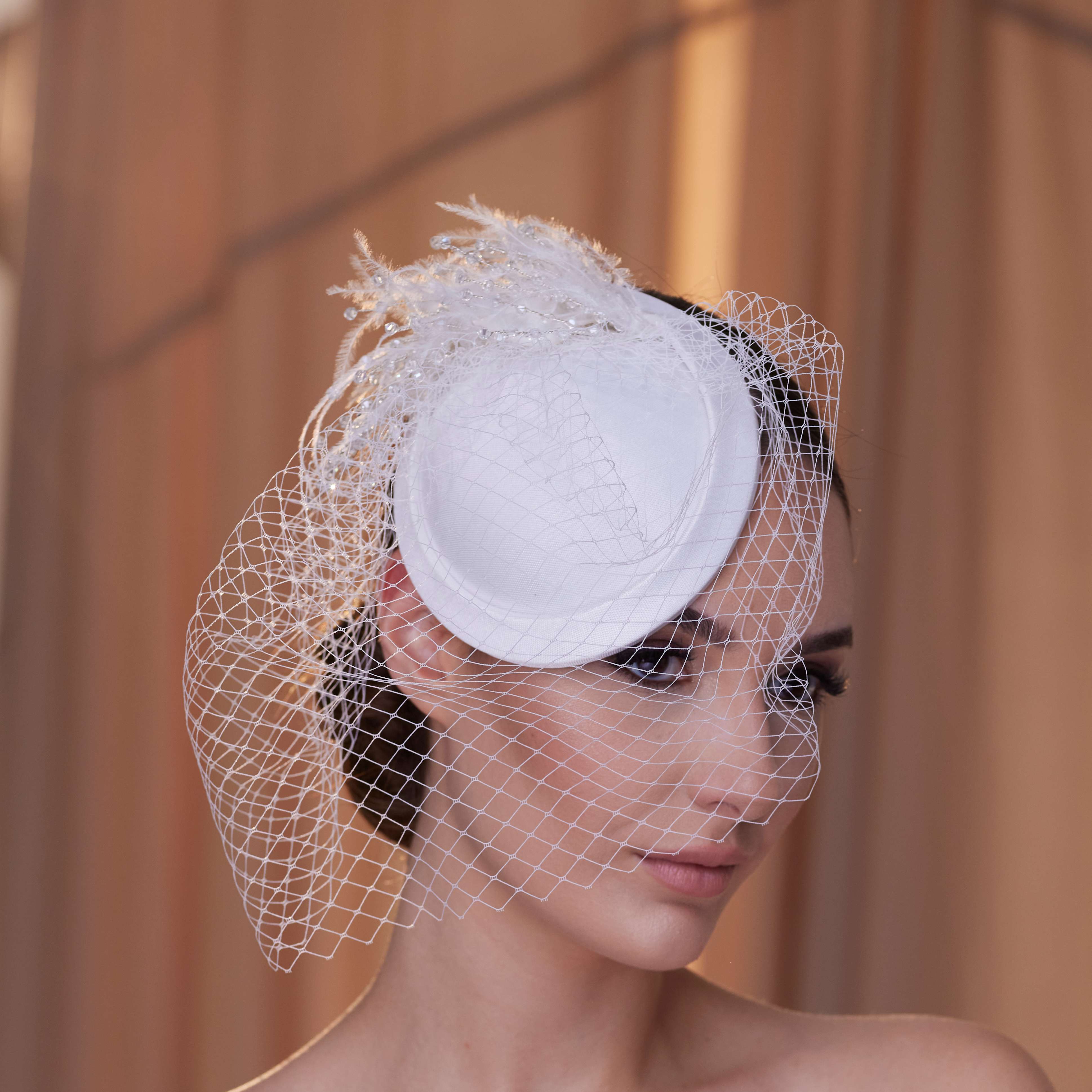 Birdcage Veil with Feathers