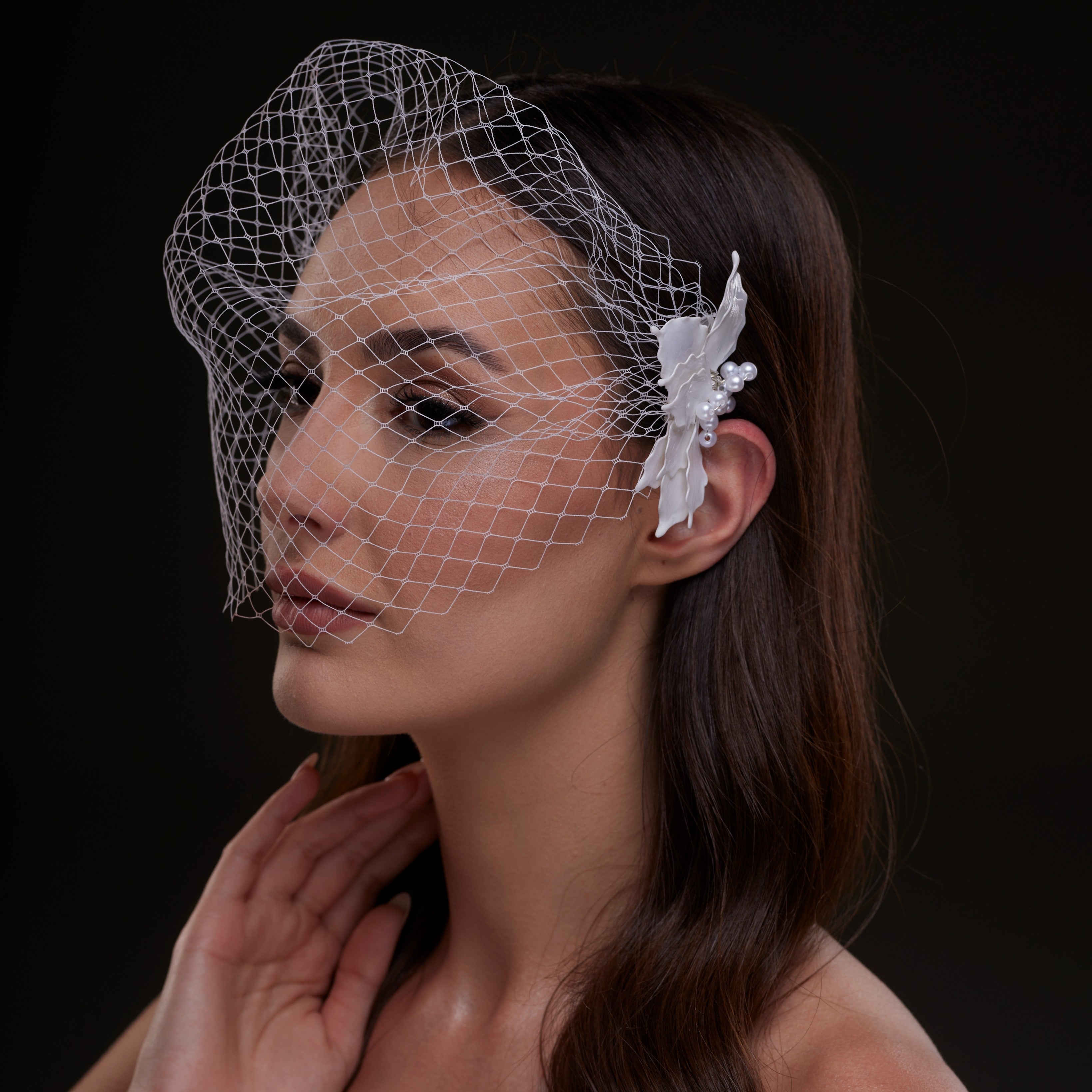 Bridal Birdcage Veil with Pearl & Leaf Side Comb