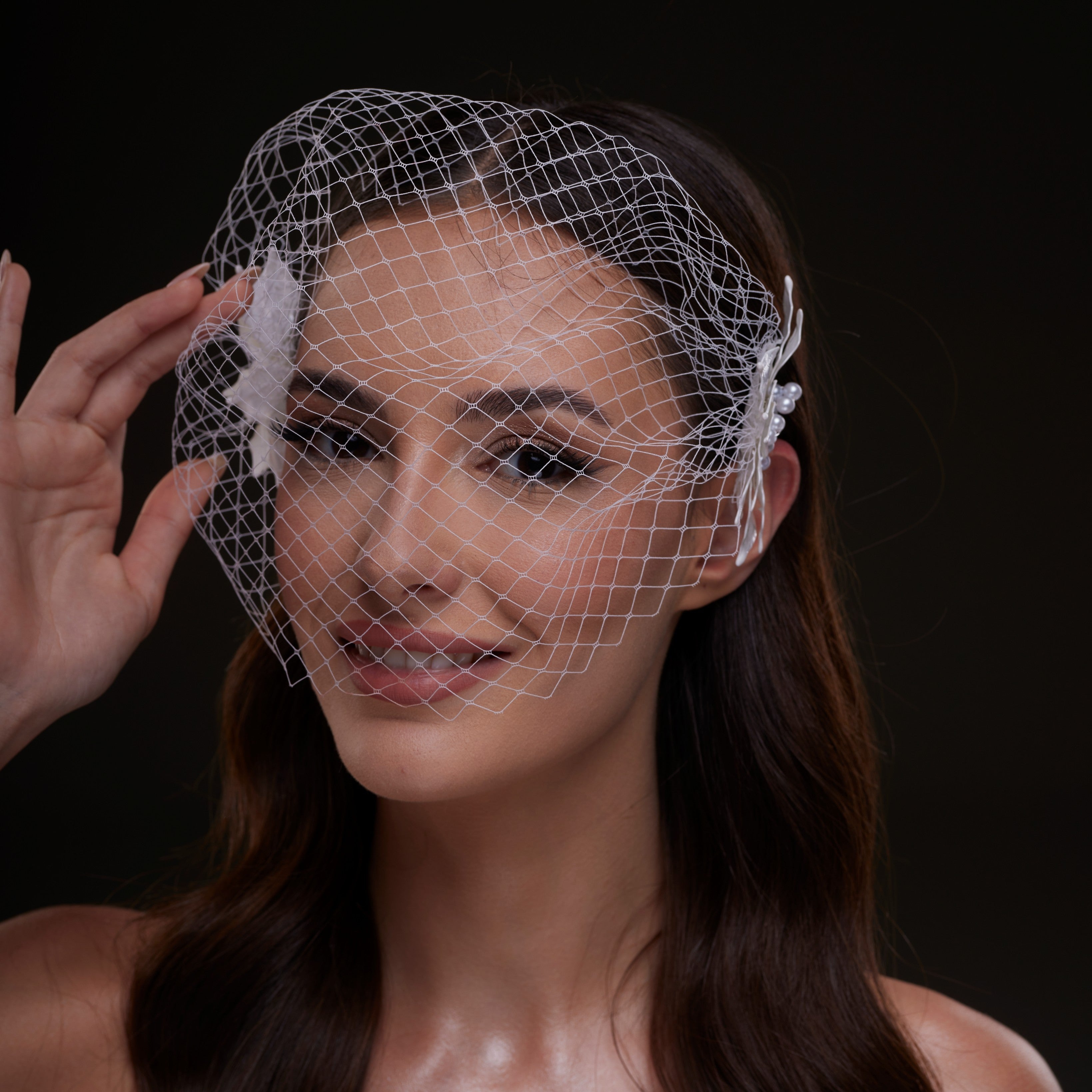 Bridal Birdcage Veil with Pearl & Leaf Side Comb