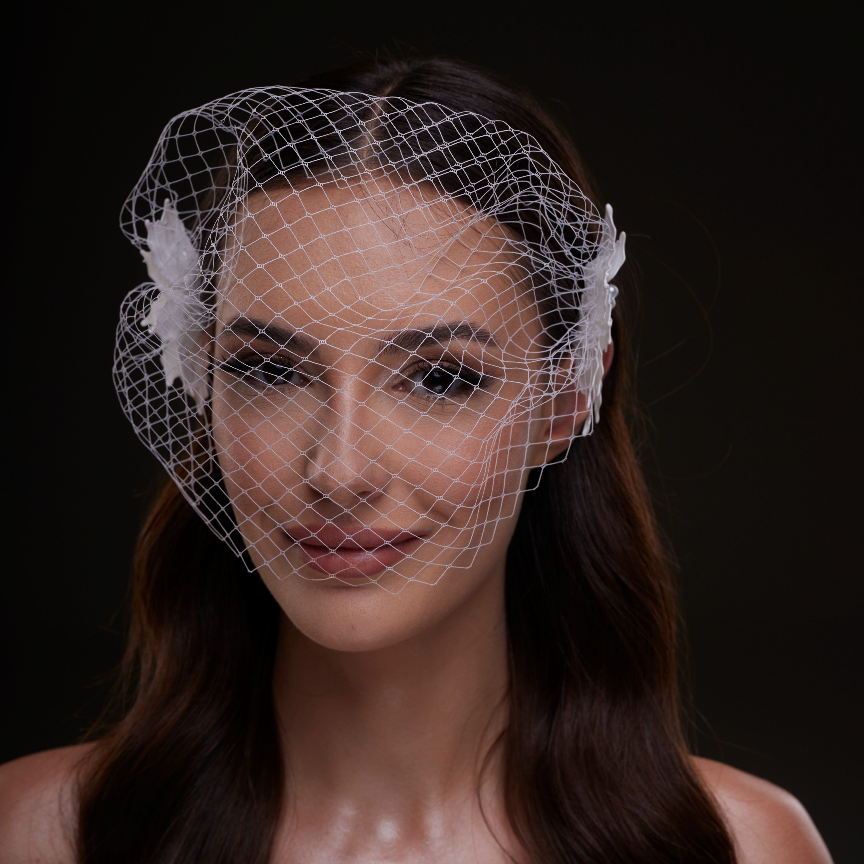 Bridal Birdcage Veil with Pearl & Leaf Side Comb