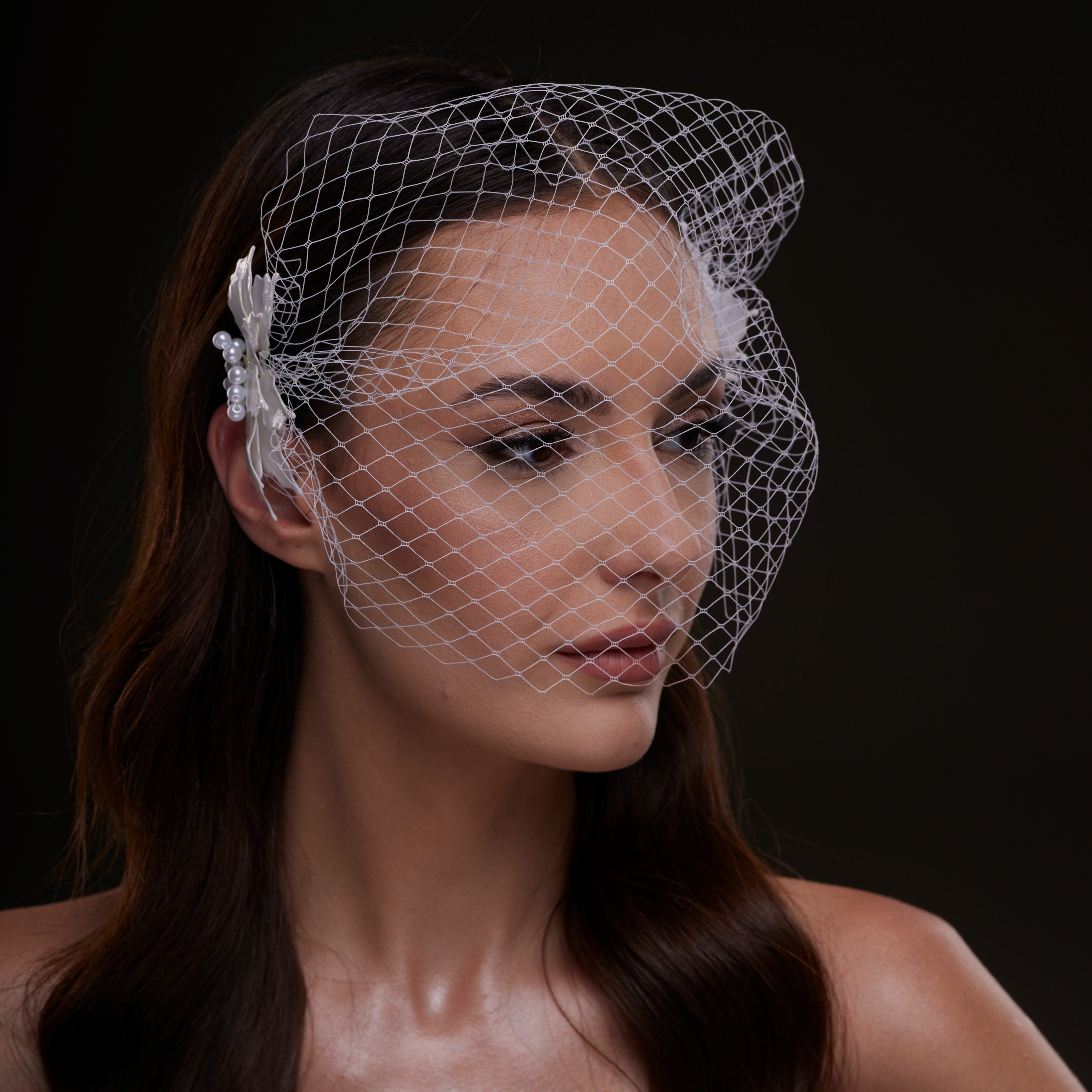 Bridal Birdcage Veil with Pearl & Leaf Side Comb