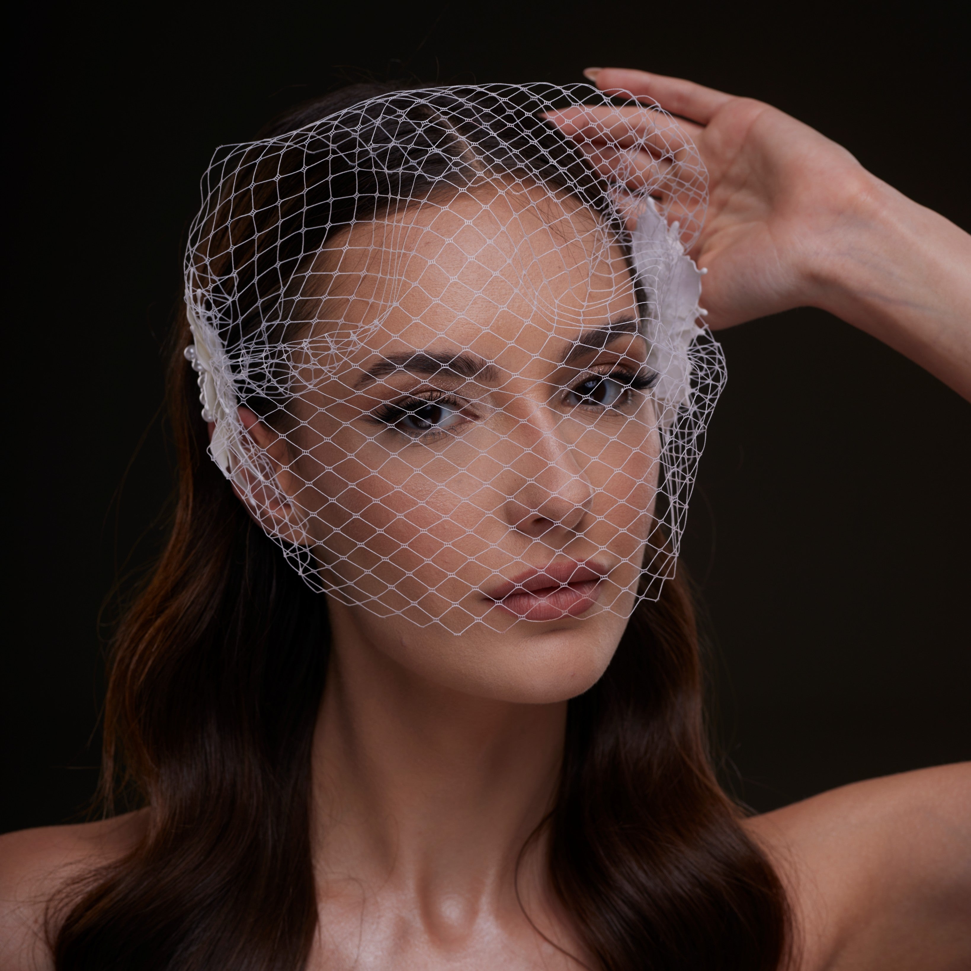 Bridal Birdcage Veil with Pearl & Leaf Side Comb