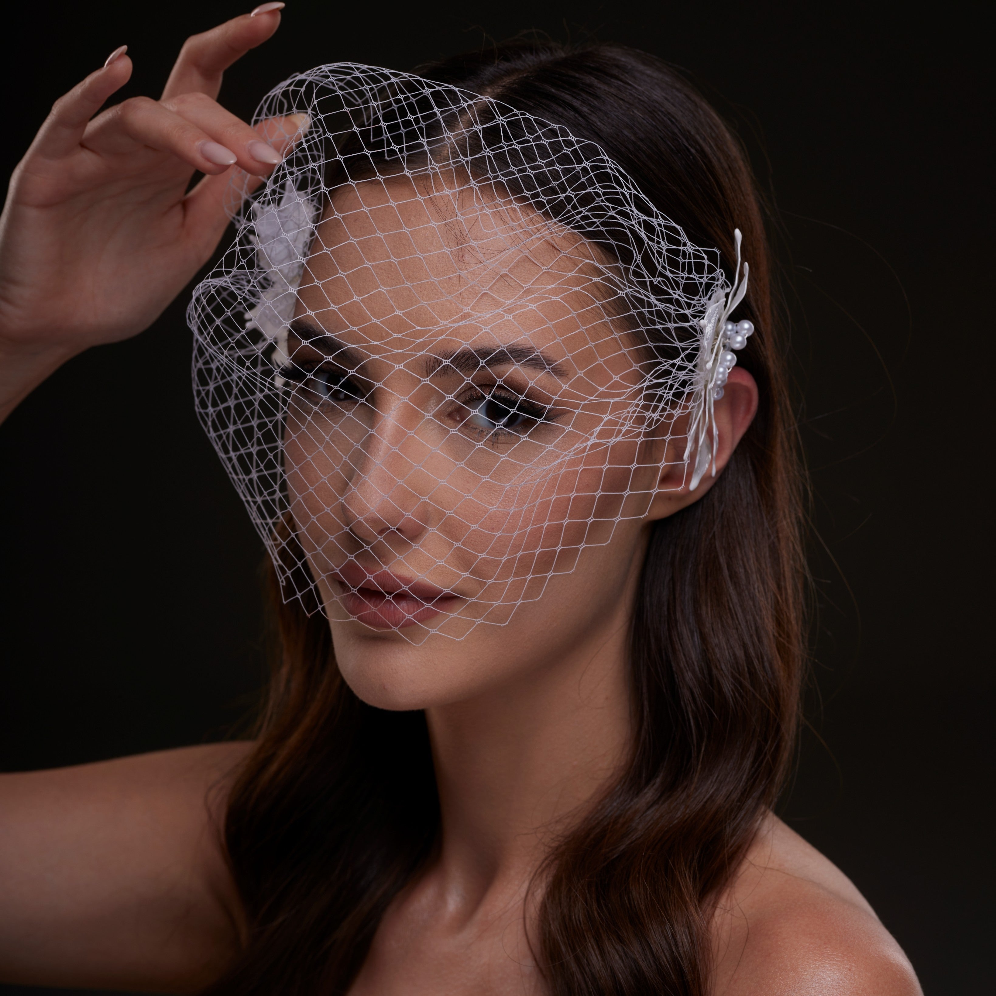 Bridal Birdcage Veil with Pearl & Leaf Side Comb