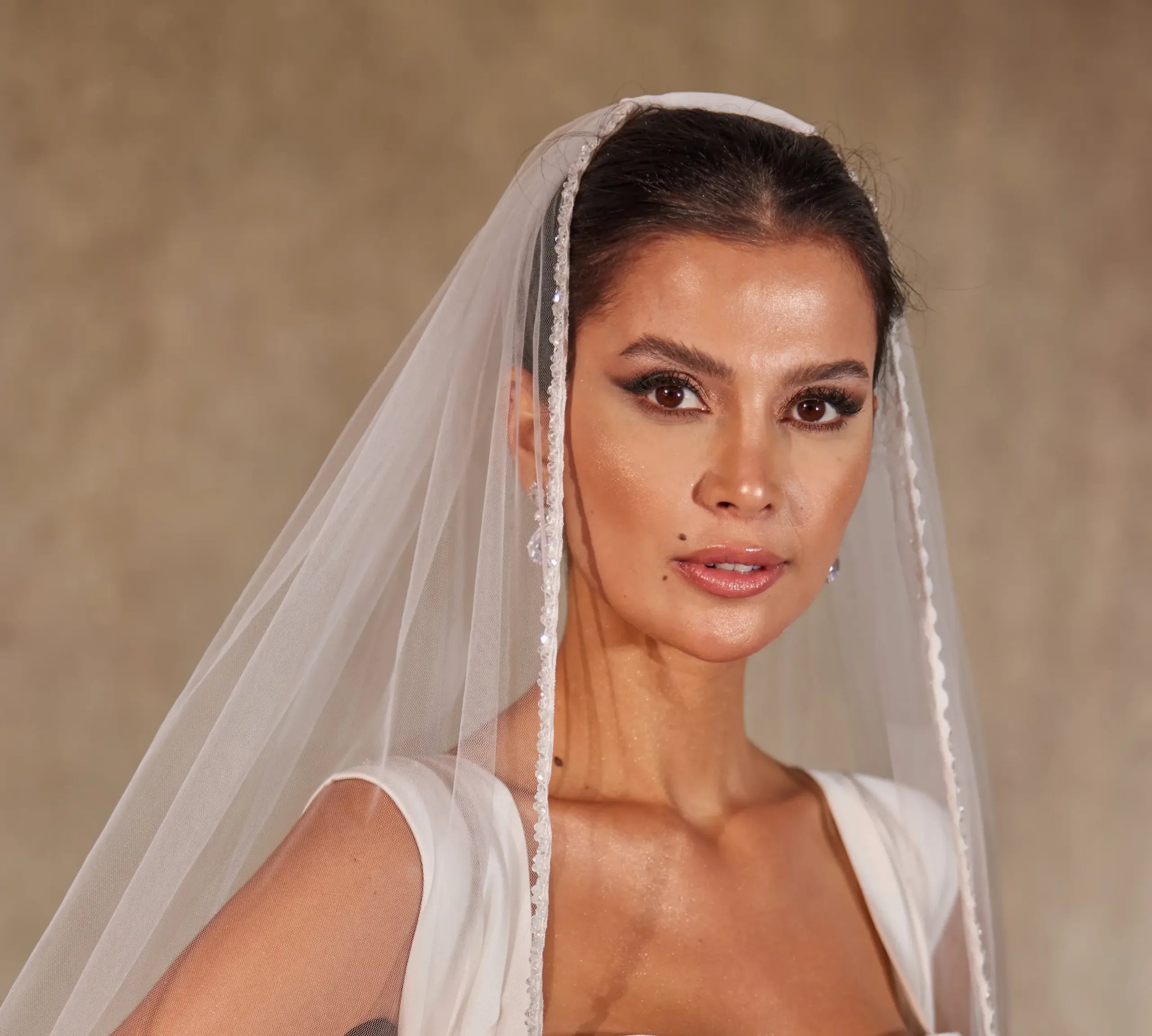 Hand-Beaded Crystal Cathedral Veil - D249 - Bridal Port