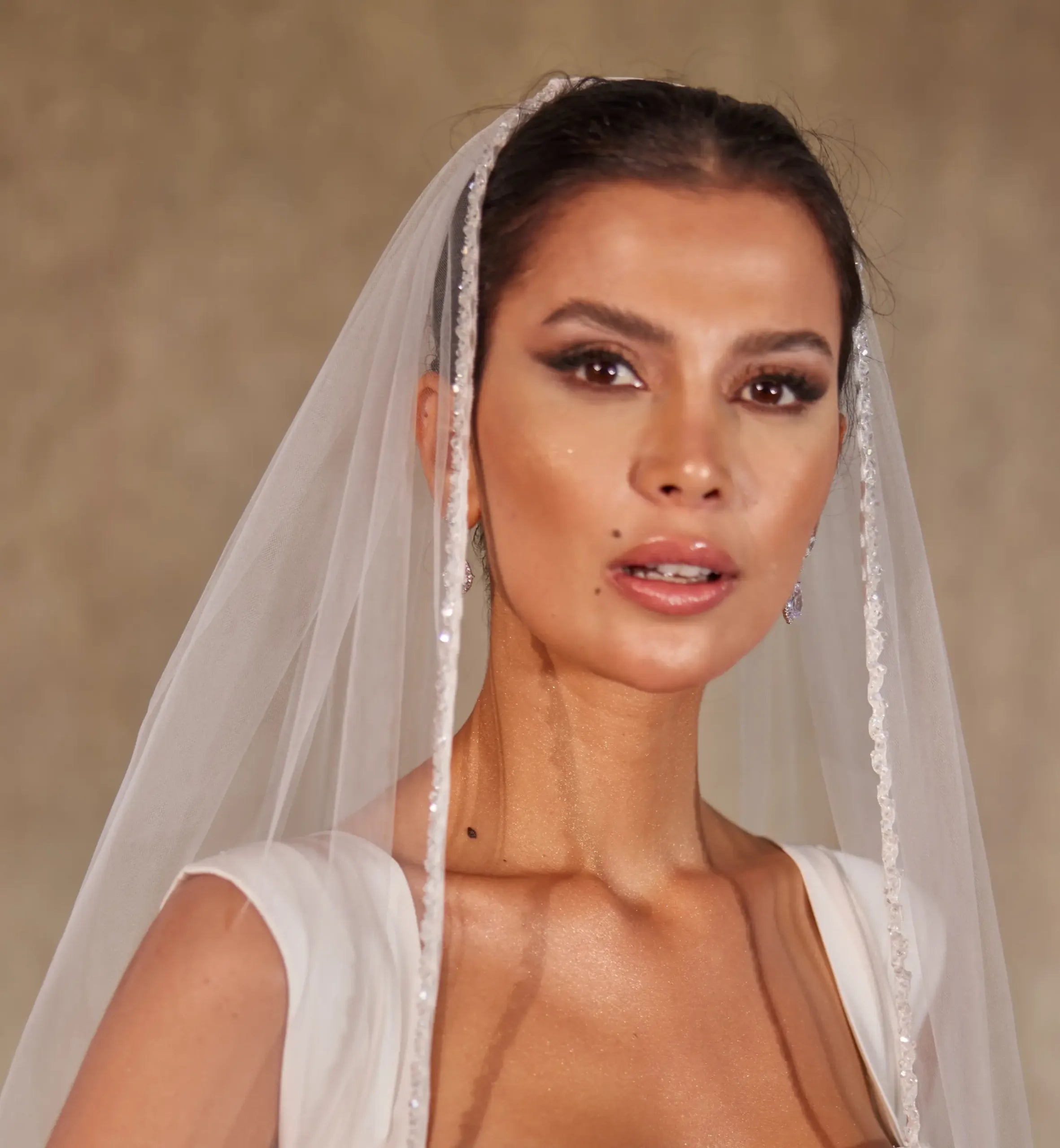 Hand-Beaded Crystal Cathedral Veil - D249 - Bridal Port