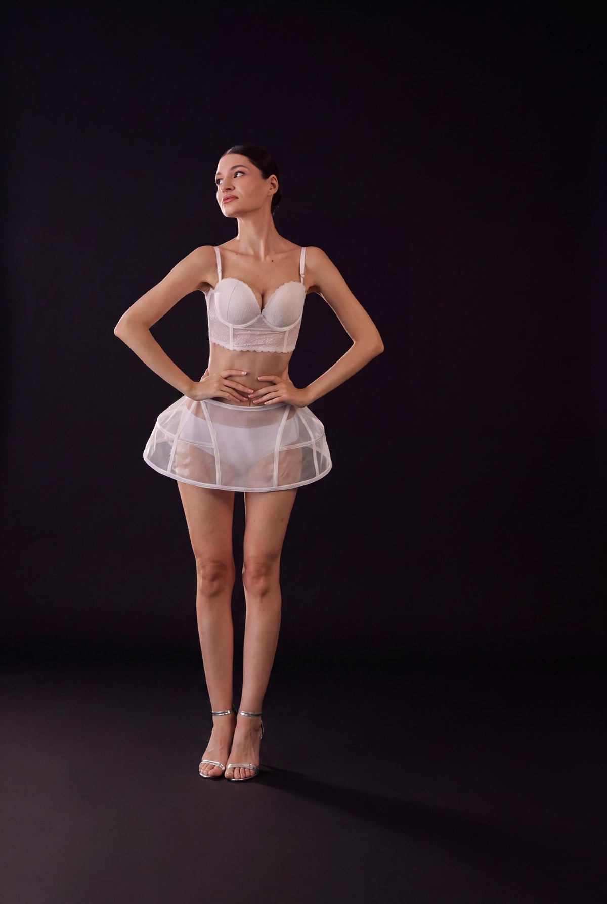 Modern Cage Pannier Skirt