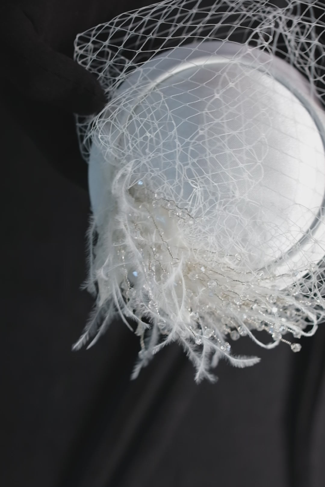 Birdcage Veil with Feathers