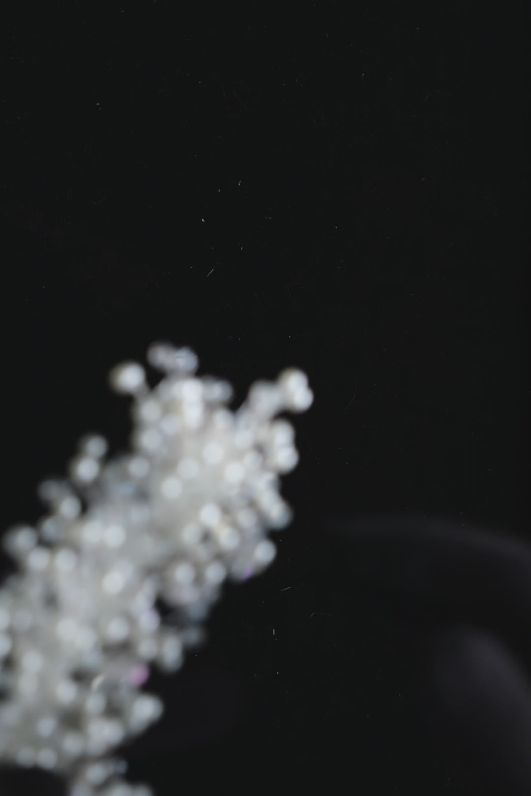 Bridal Hairvine with Crystal Beads, Pearls, and Flowers