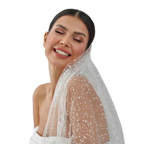 Sparkle Wedding Veil, Veil with Silver Snow Pattern, Wedding Accessories
